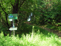 Upwey Trail, South Woodstock