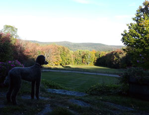 The view from High Meadows Farm on a crisp October evening