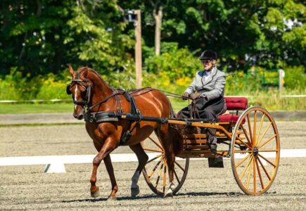 GMHA-Driving-HDT-8-For-Web