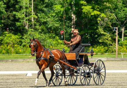 GMHA-Driving-HDT-9-For-Web