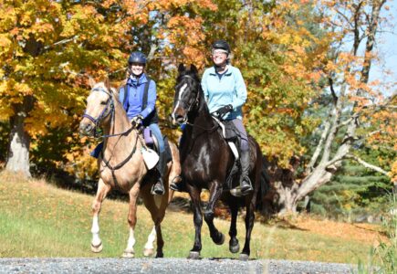 fall endurance for web